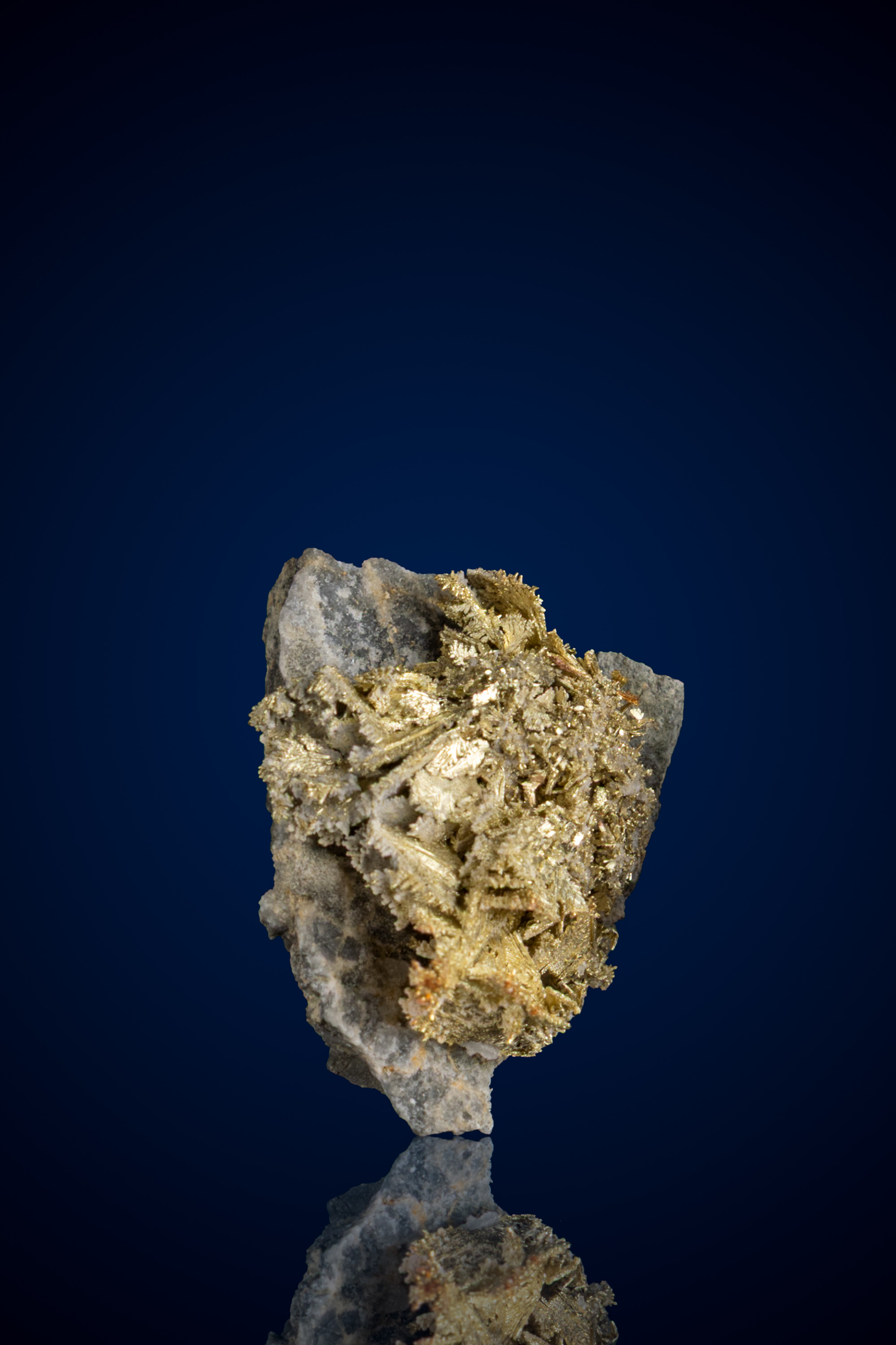 (image for) Gorgeous, Dendritic Leaf Gold on Shale Rock - Firecreek Mine, NV - 5.21 grams